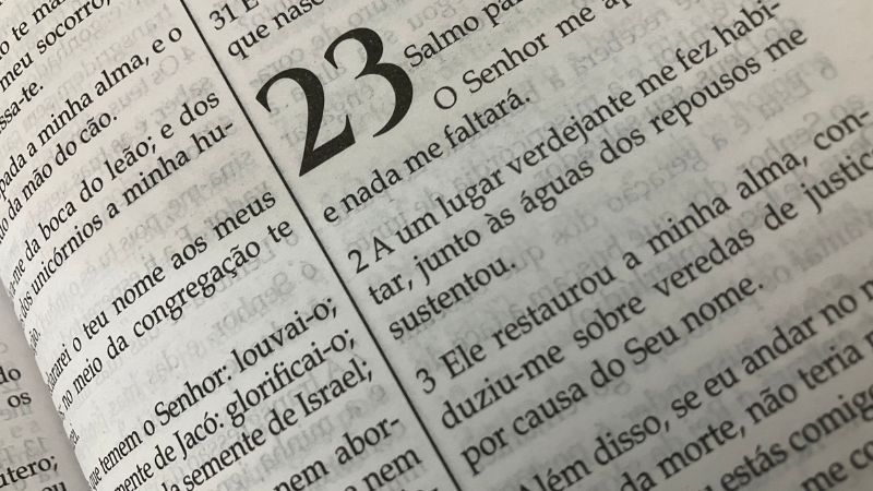 Sistema de referências cruzadas no Salmo 22 da Septuaginta LXX em Português